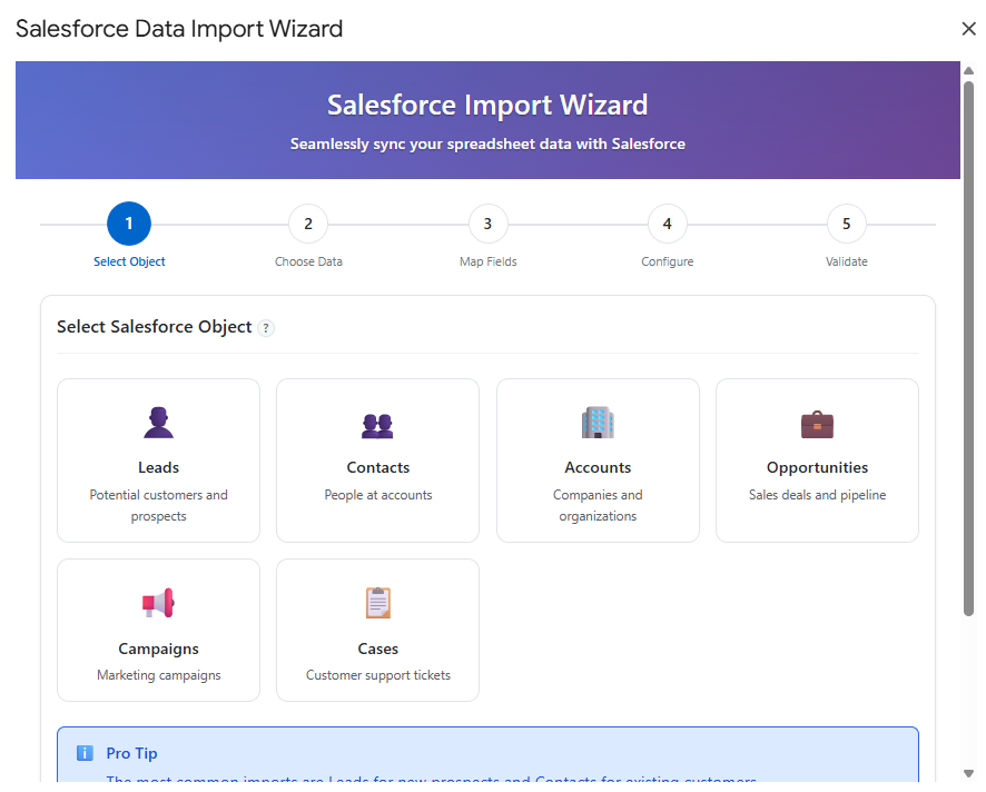 Salesforce Import Wizard — 5-step guided flow for Leads, Contacts, Accounts, Opportunities, Campaigns, and Cases